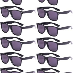 12-Pack Wayfarer Sunglasses, Black Frame Smoke Lens Unisex