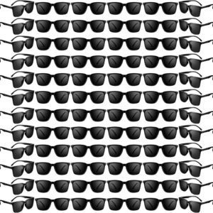 Bulk Pack Black Wayfarer Sunglasses Unisex Smoke Lens