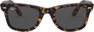 6x Original Wayfarer Square Sunglasses (Havana on Transparent Brown/Dark Grey)